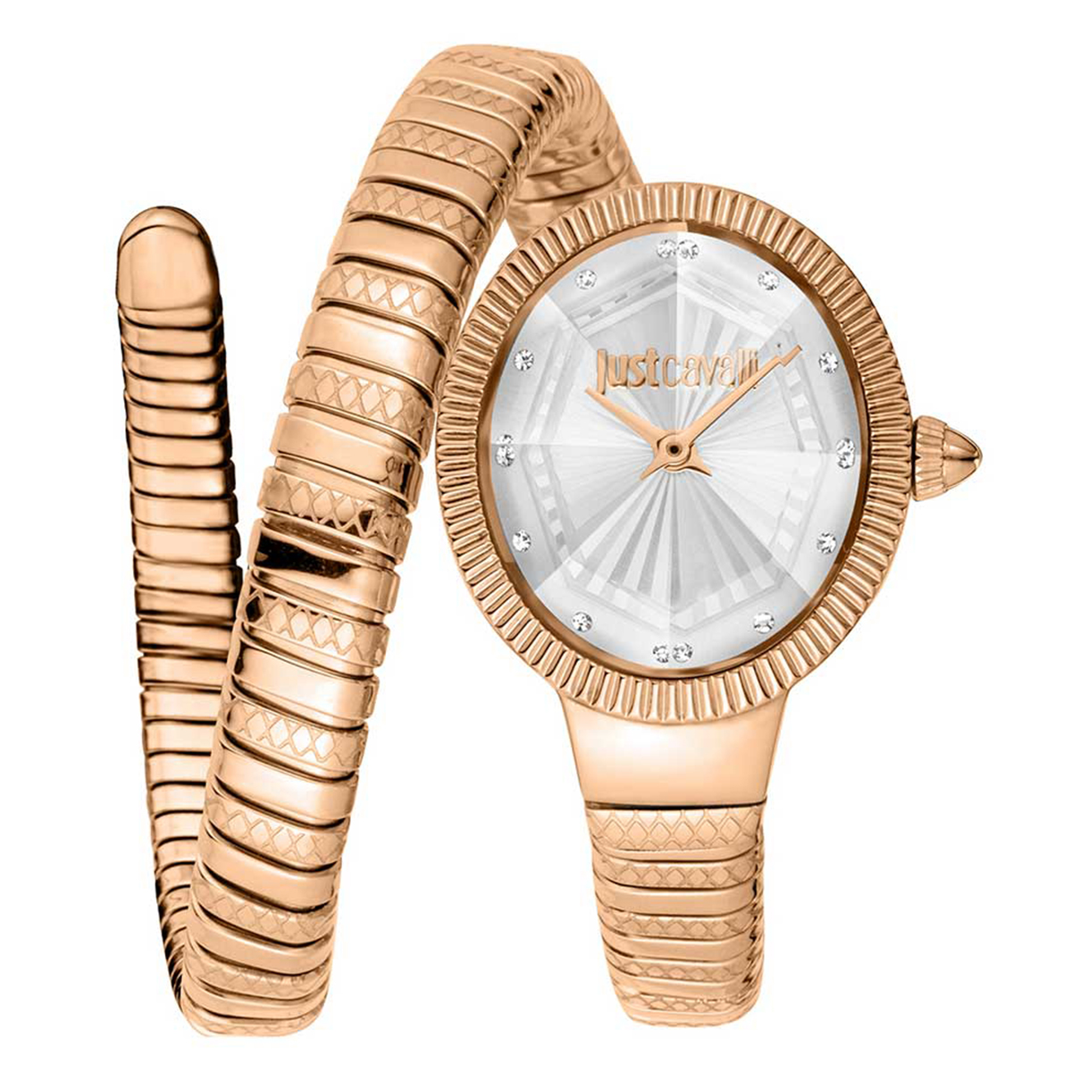 MONTRE JUST CAVALI FEMME ACIER